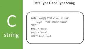 ABAP data type C