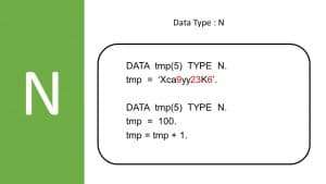 ABAP data type N