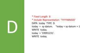 ABAP data type D
